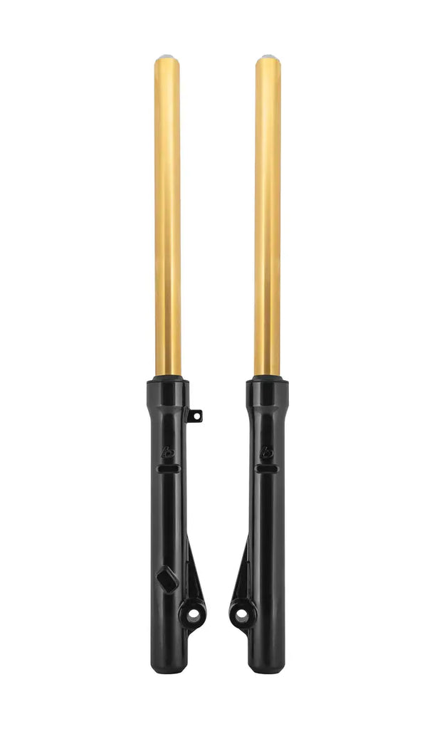 TB Fork Assembly Set, Extended, HD springs & Gold TiN Coated uppers – CRF110F