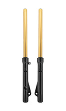 Load image into Gallery viewer, TB Fork Assembly Set, Extended, HD springs &amp; Gold TiN Coated uppers – CRF110F