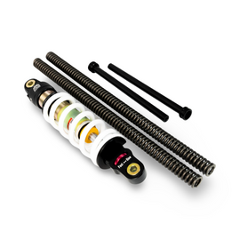 COMPLETE SUSPENSION KIT - KLX110L