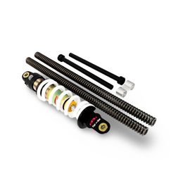 COMPLETE SUSPENSION KIT - CRF110F