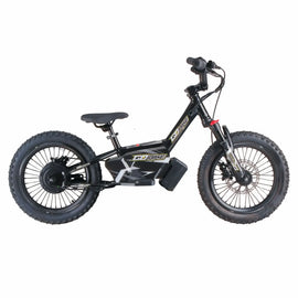 GoBike 16 Inch Electric Bike for Kids – Riding Fun for Ages 5–9