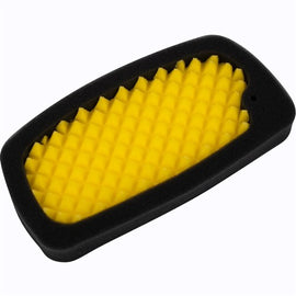CRF110F Funnelweb Air Filter 19 - Present