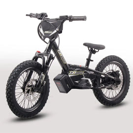 GoBike 16 Inch Electric Bike for Kids – Riding Fun for Ages 5–9