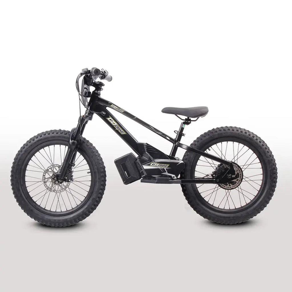 GoBike 20 Inch Electric Bike for Kids & Teens –For Ages 9–16
