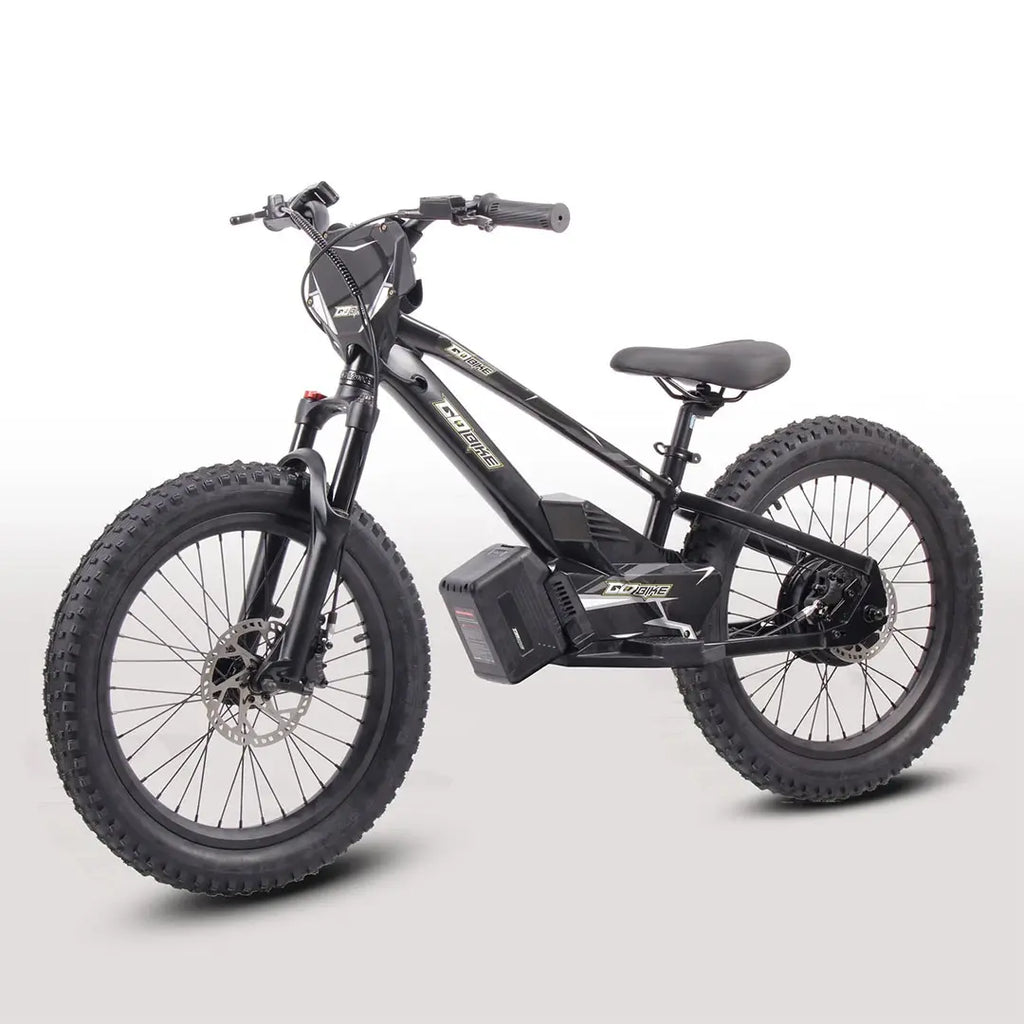GoBike 20 Inch Electric Bike for Kids & Teens –For Ages 9–16